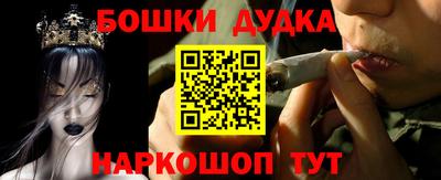 крисы Будённовск