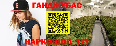крисы Будённовск